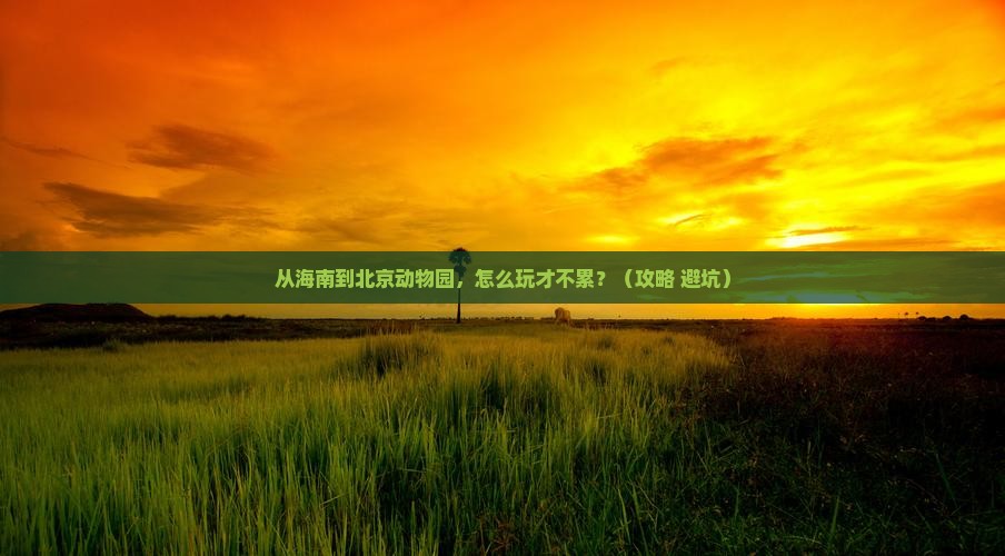 海南去北京动物园二日游