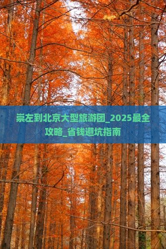 崇左到北京大型旅游团