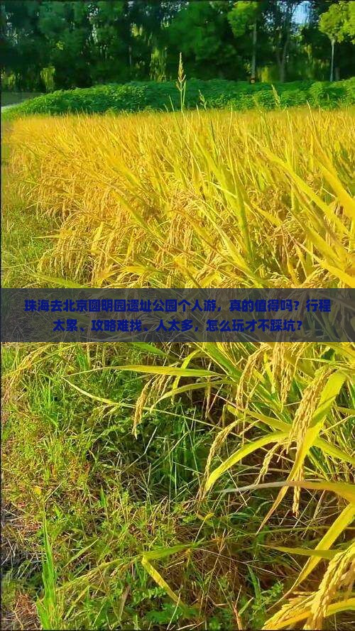 珠海去北京圆明园遗址公园个人游