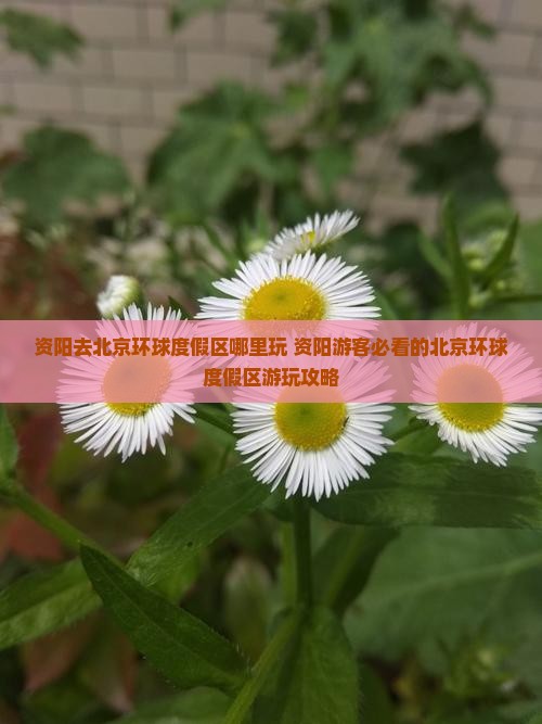 资阳去北京环球度假区哪里玩