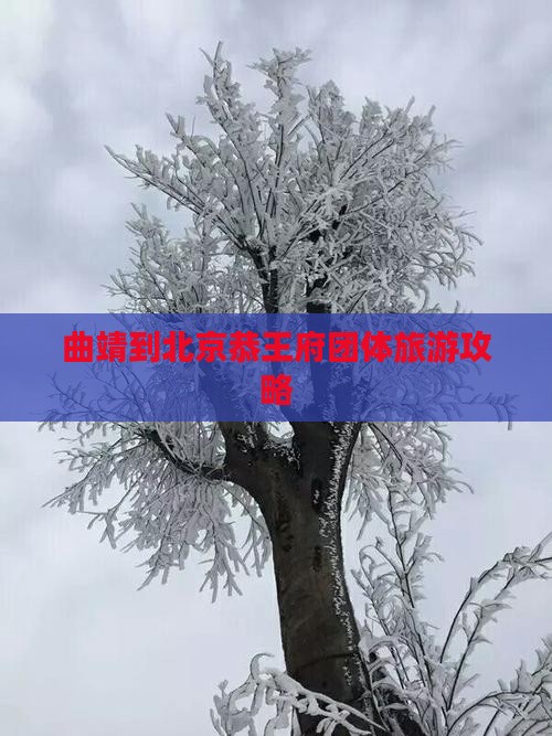 曲靖到北京恭王府团体旅游