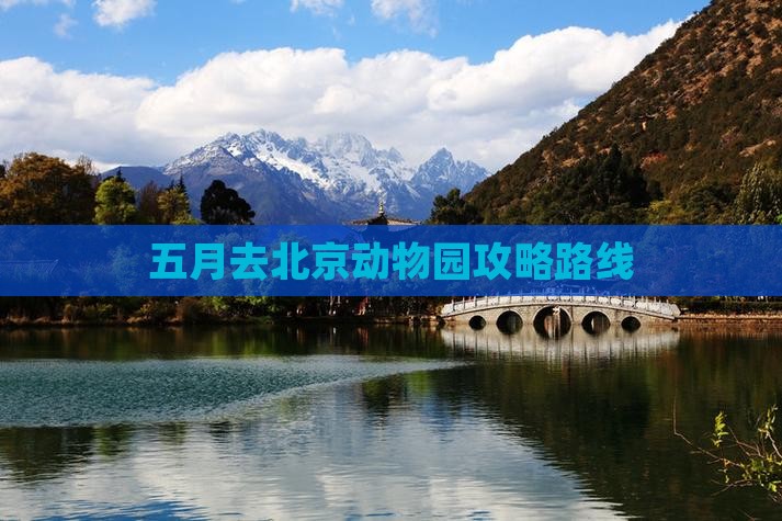 五月去北京动物园攻略