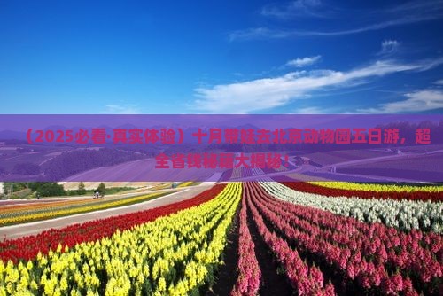 十月到北京动物园五日游