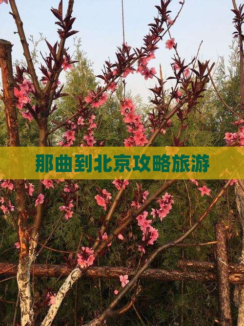 那曲到北京攻略