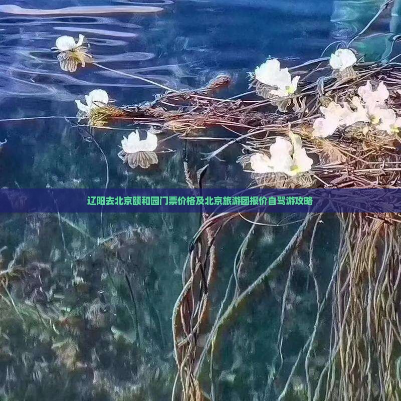 辽阳去北京颐和园门票
