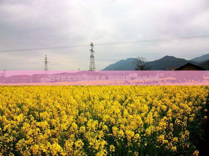 四平到北京动物园景点