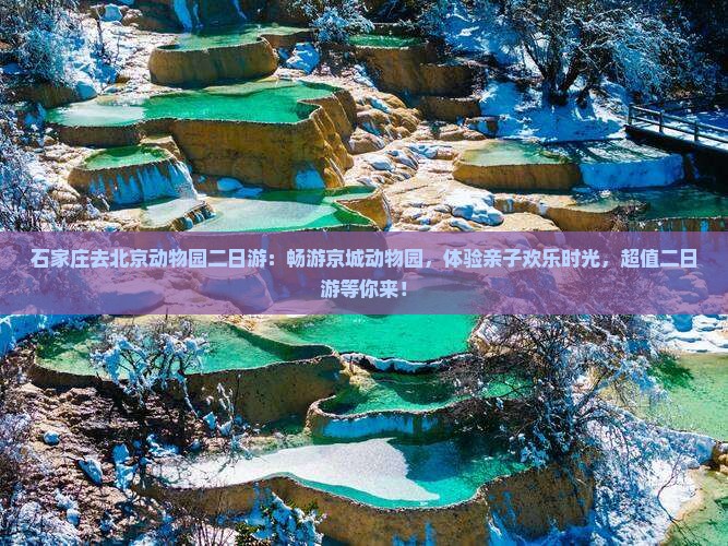 石家庄去北京动物园二日游