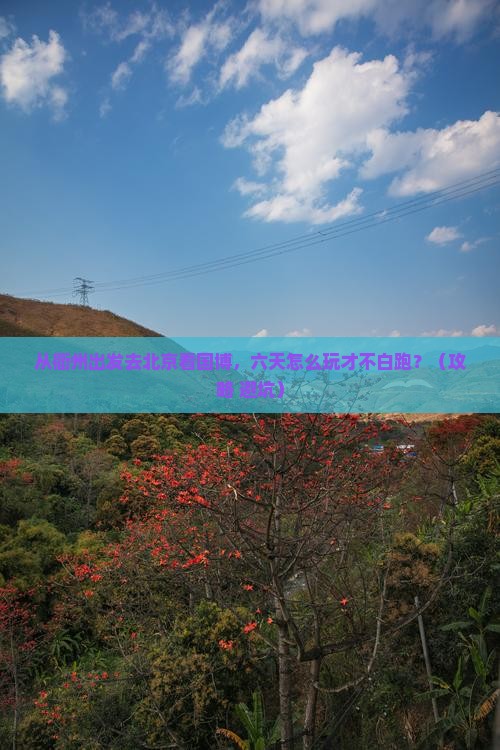 衢州去北京中国国家博物馆六日游
