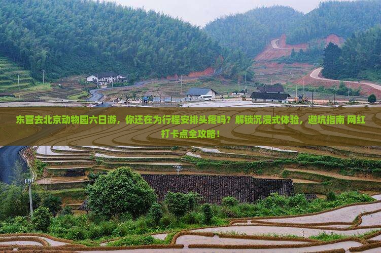 东营去北京动物园六日游