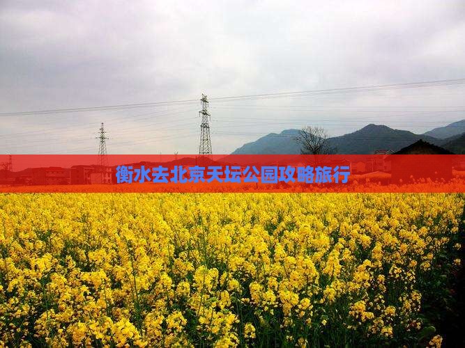 衡水去北京天坛公园旅行社