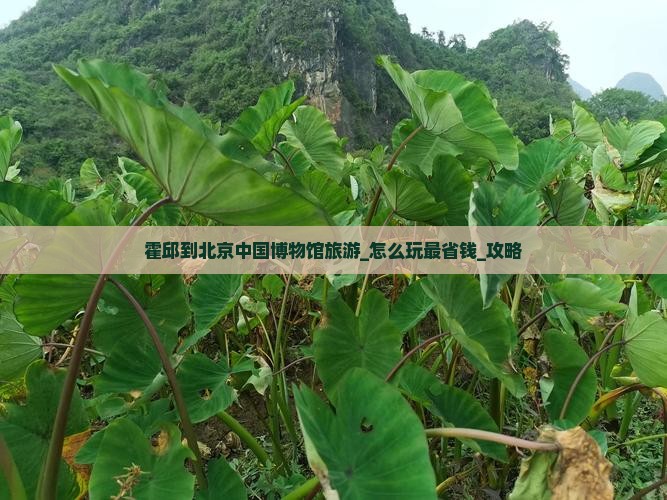 霍邱到北京中国国家博物馆旅游