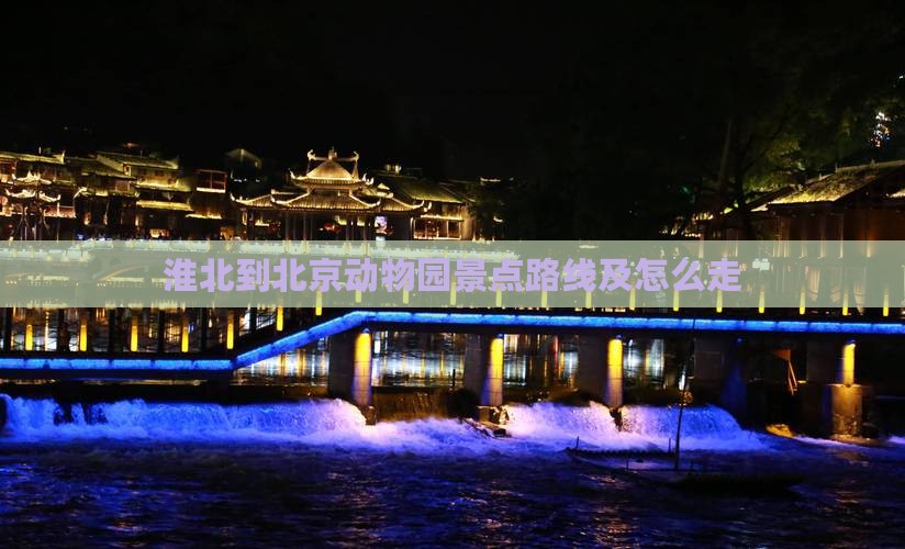 淮北到北京动物园景点