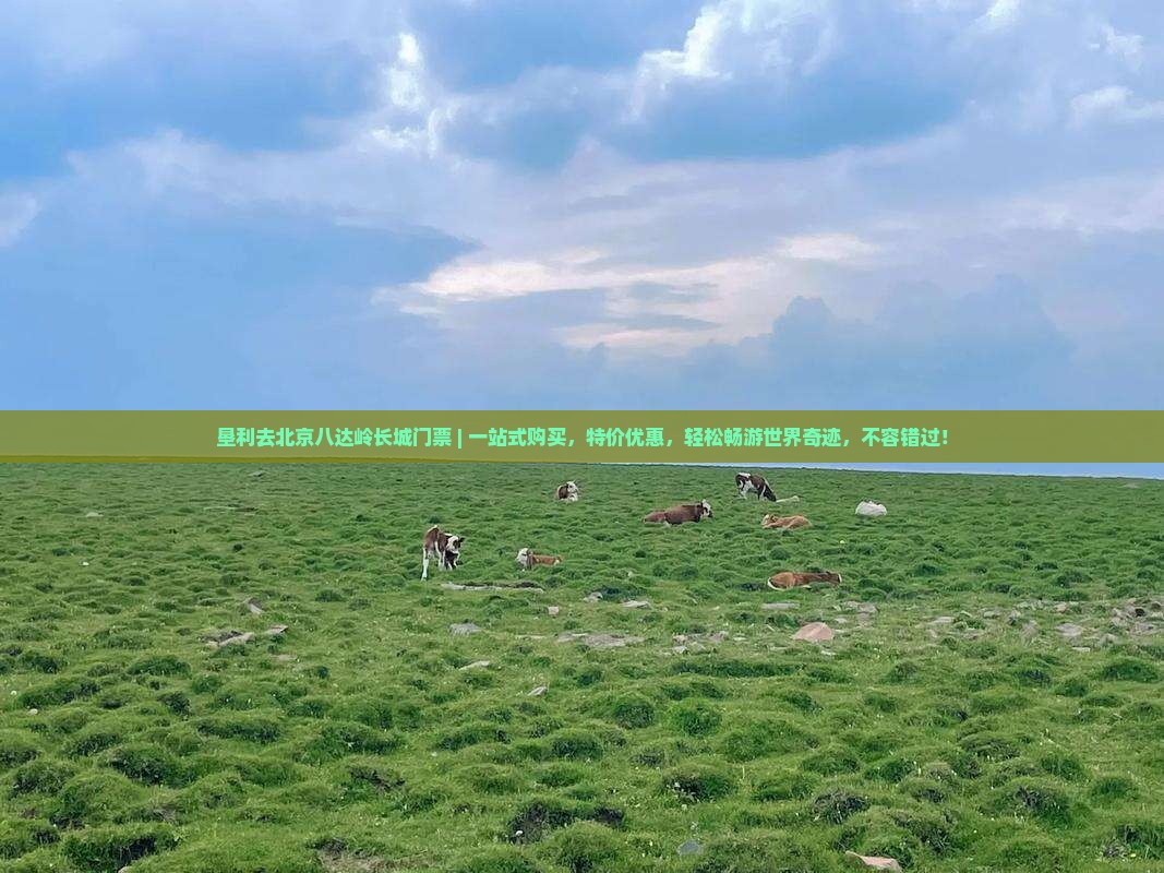 垦利去北京八达岭长城门票