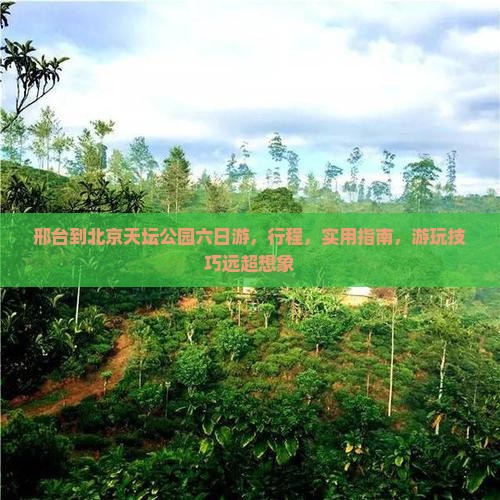 邢台到北京天坛公园六日游