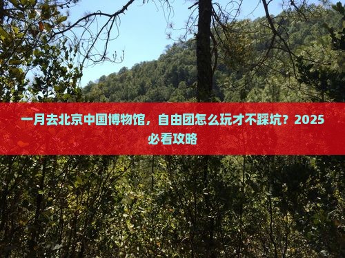 一月去北京中国国家博物馆自由团