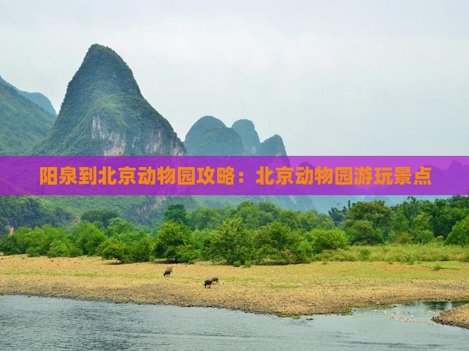 阳泉到北京动物园景点