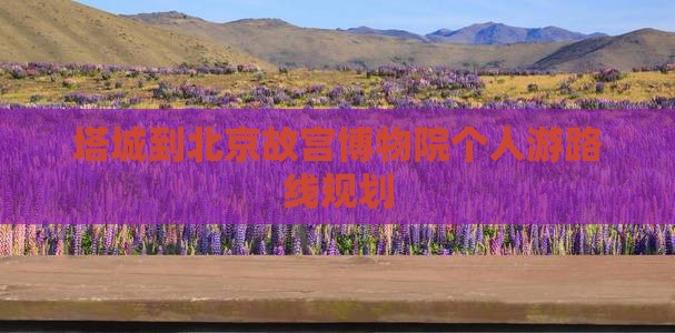 塔城到北京故宫博物院个人游