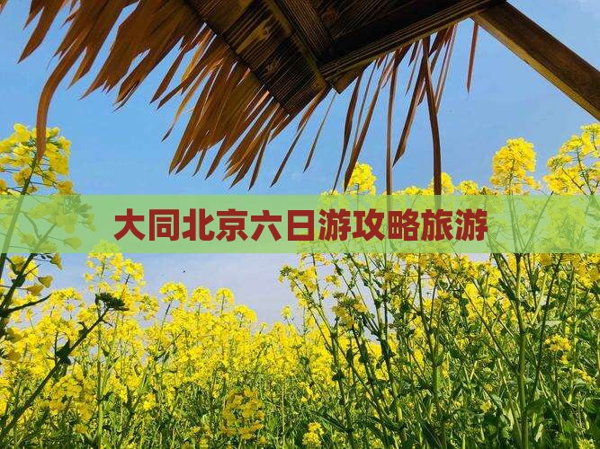 大同去北京六日游