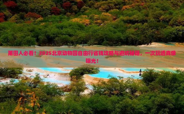 莆田去北京动物园自由行