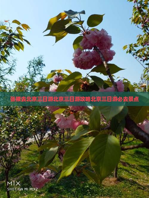 张掖去北京三日游