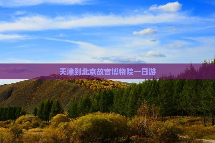 天津到北京故宫博物院一日游