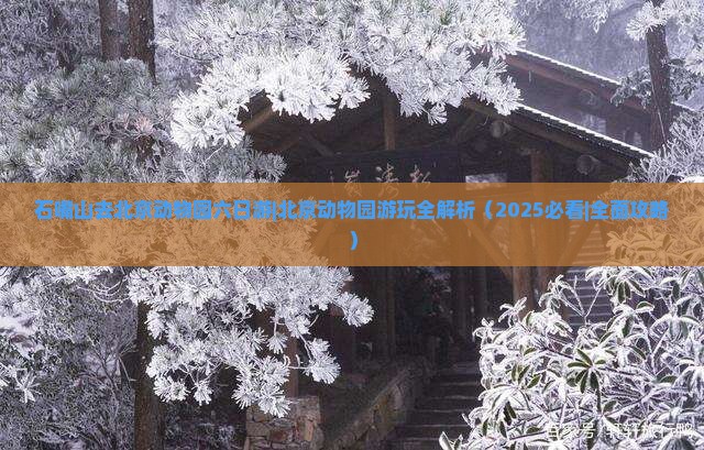 石嘴山去北京动物园六日游