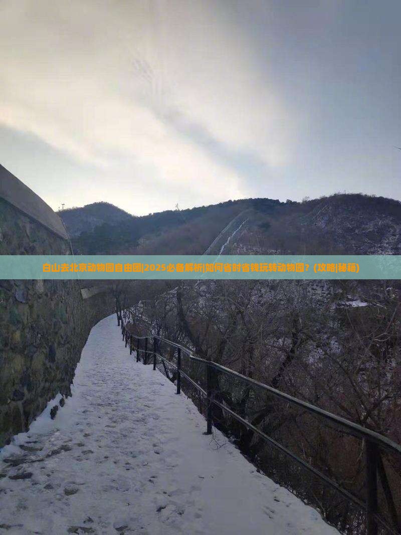 白山去北京动物园自由团