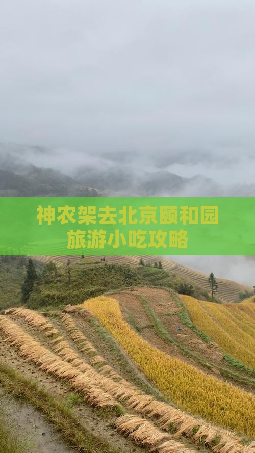 神农架去北京颐和园旅游小吃