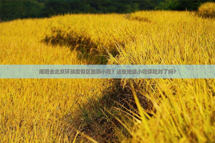 揭阳去北京环球度假区旅游小吃