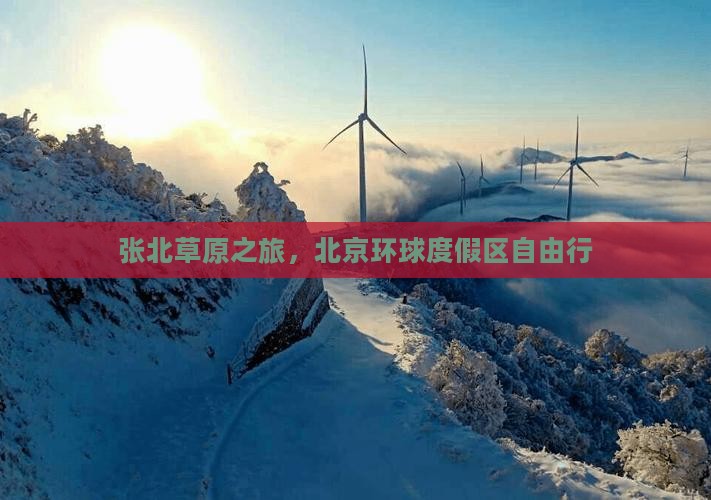 张北去北京环球度假区自由团