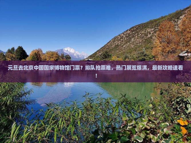 元旦去北京中国国家博物馆门票