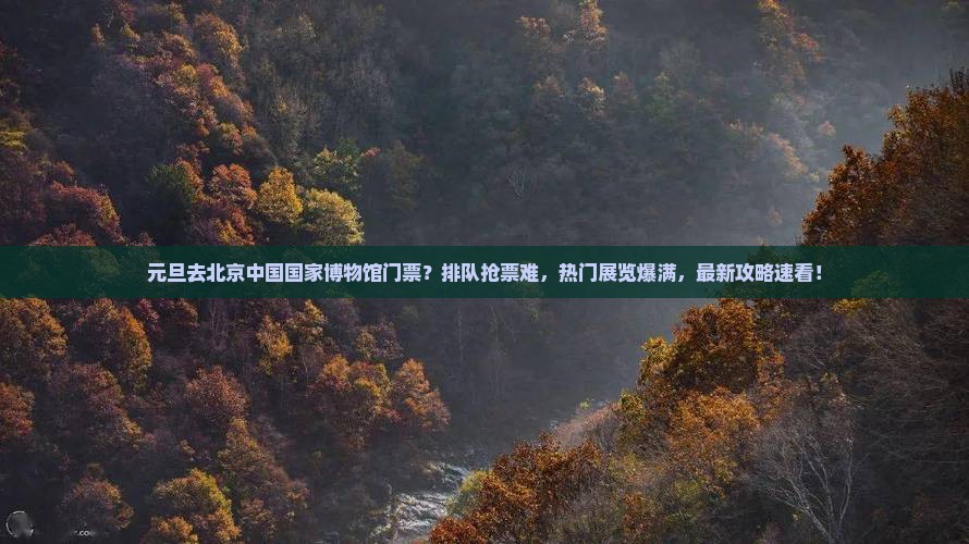 元旦去北京中国国家博物馆门票