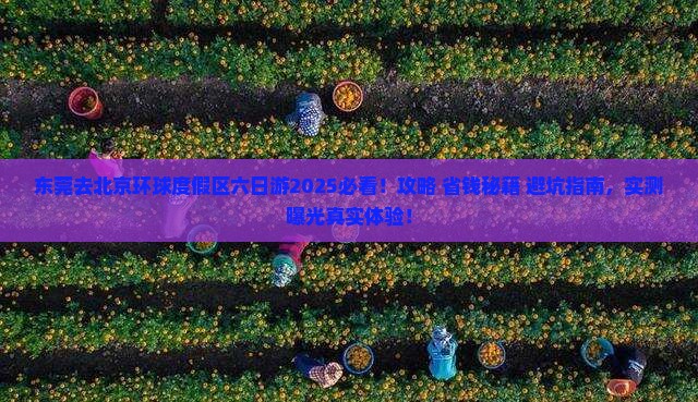 东莞去北京环球度假区六日游