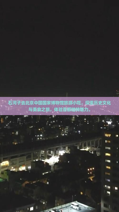 石河子去北京中国国家博物馆旅游小吃