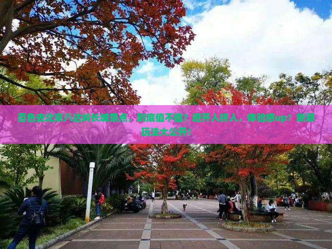 百色去北京八达岭长城景点