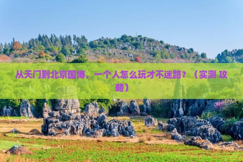 天门到北京中国国家博物馆个人游