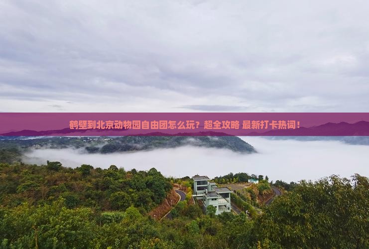 鹤壁到北京动物园自由团