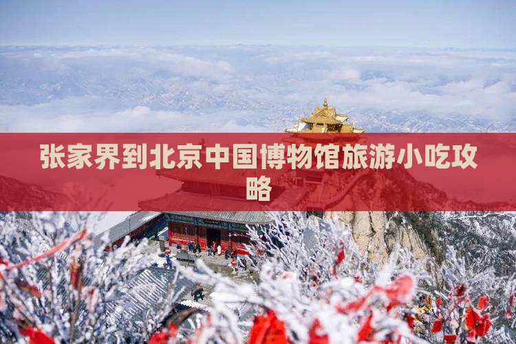 张家界到北京中国国家博物馆旅游小吃