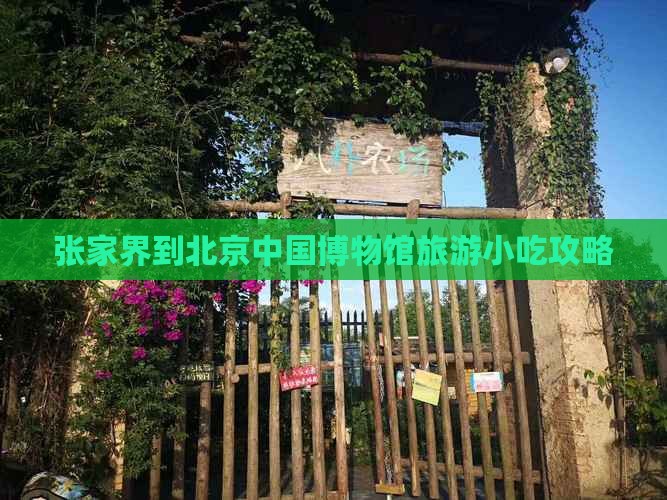 张家界到北京中国国家博物馆旅游小吃