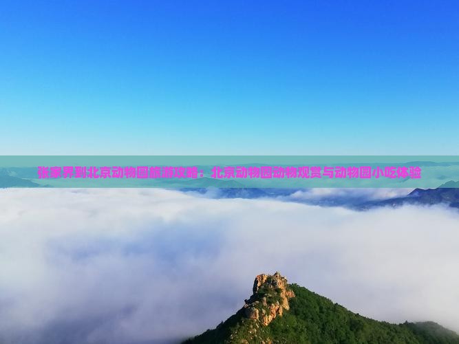 张家界到北京动物园旅游小吃