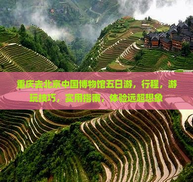 重庆去北京中国国家博物馆五日游