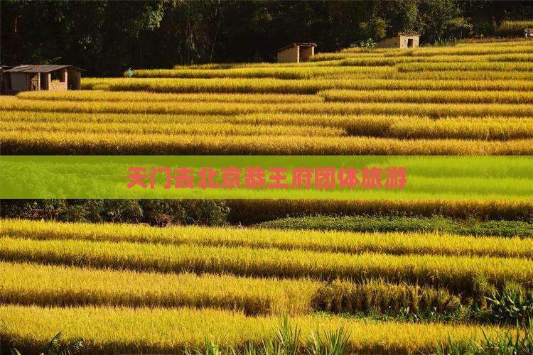 天门去北京恭王府团体旅游