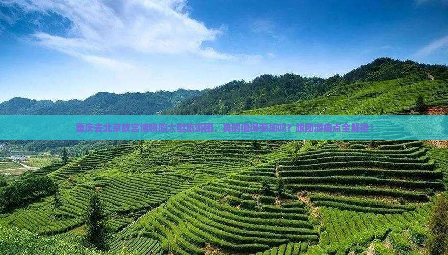 重庆去北京故宫博物院大型旅游团