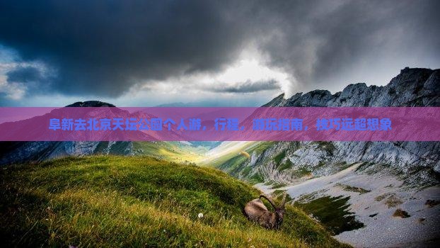 阜新去北京天坛公园个人游