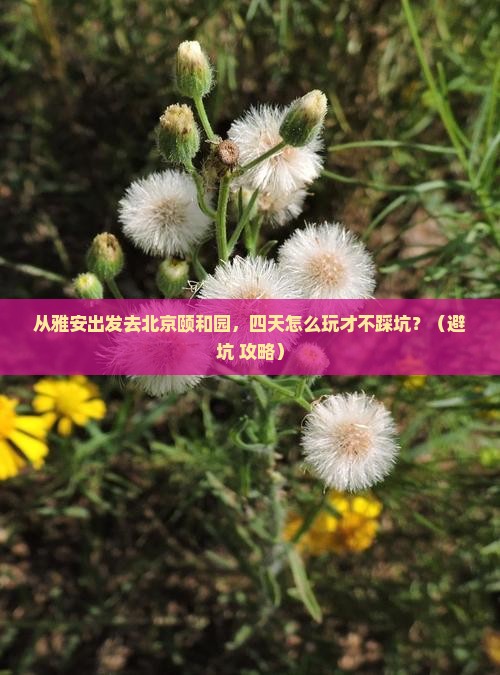 雅安去北京颐和园四日游