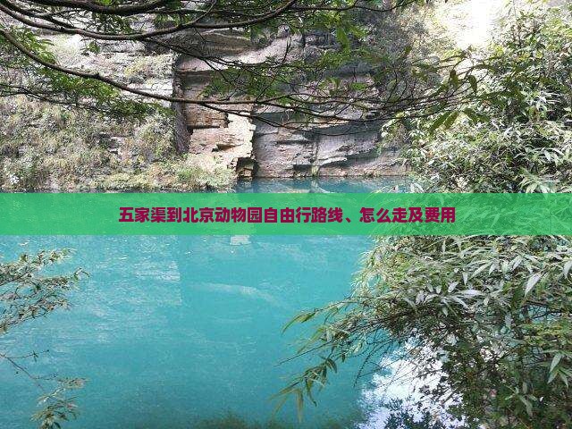 五家渠到北京动物园自由行