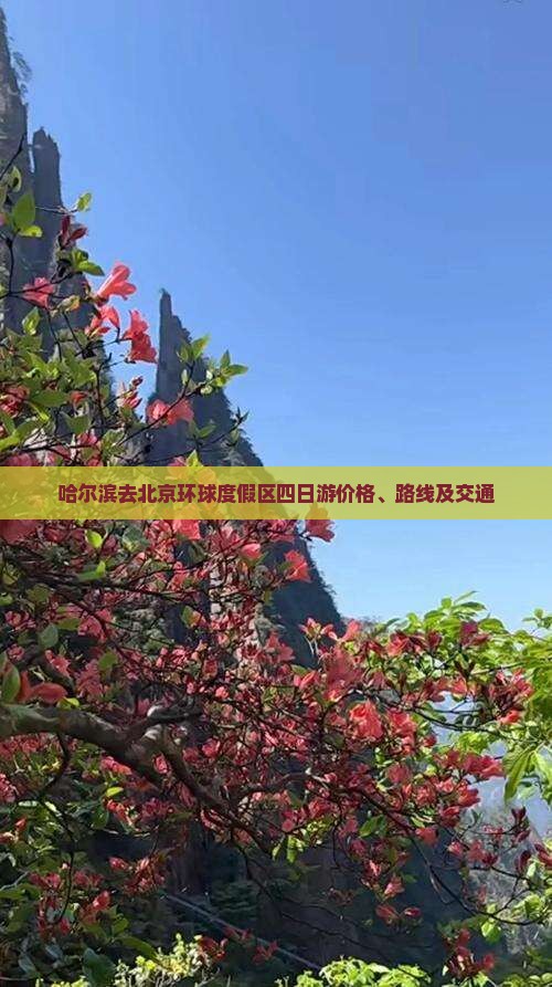 哈尔滨去北京环球度假区四日游