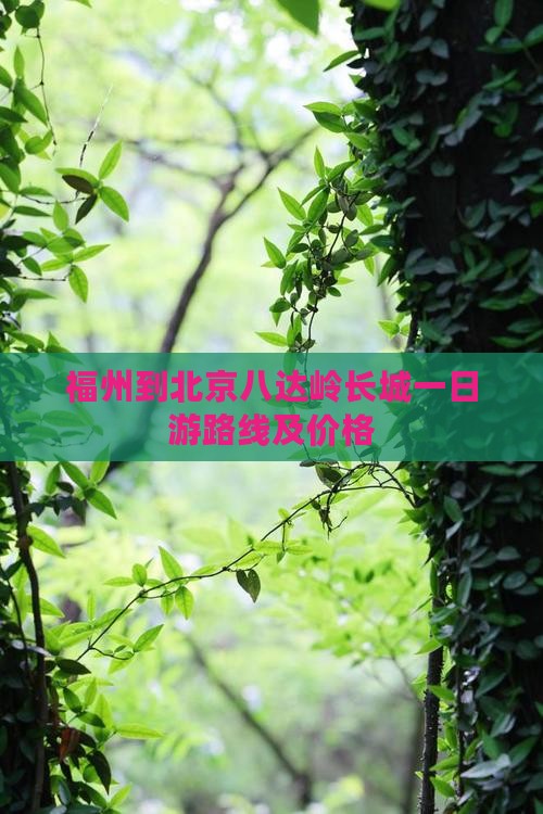 福州到北京八达岭长城一日游