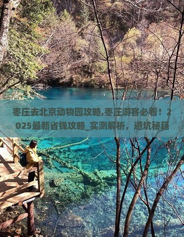 枣庄去北京动物园攻略
