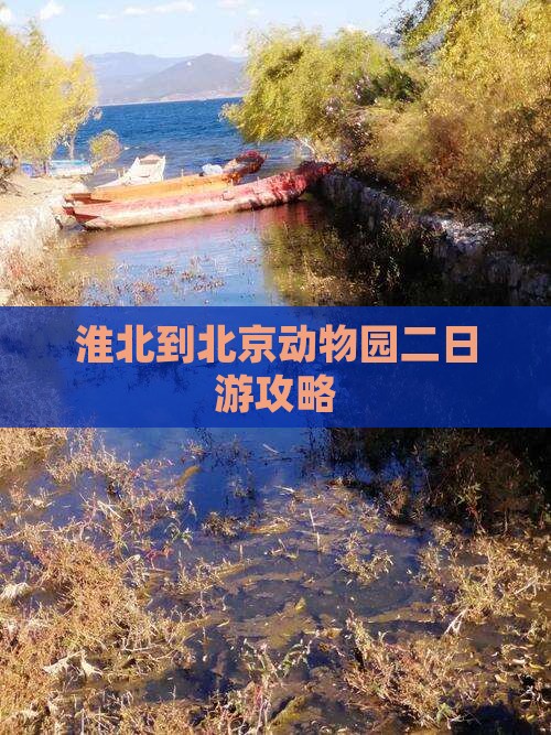 淮北到北京动物园二日游